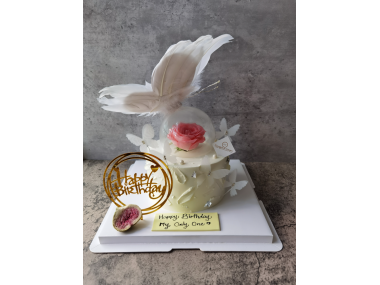 Fresh Cream 141