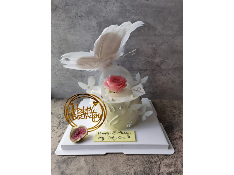 Fresh Cream 141